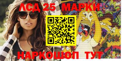 spice Новодвинск