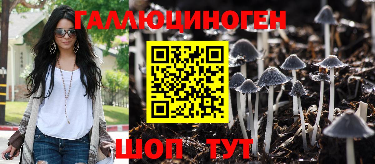 Рассказово  Галлюциногенные грибы Magic Shrooms  Вход с VPN 
