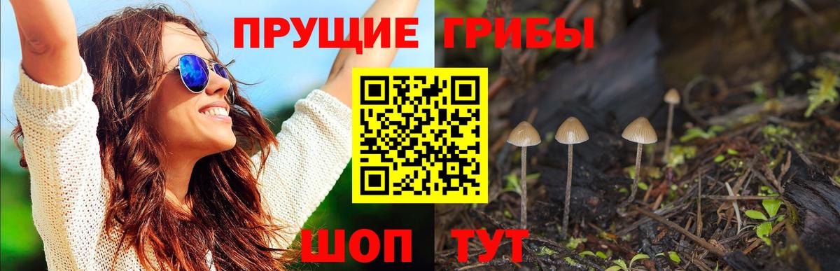 Галлюциногенные грибы Magic Shrooms Рассказово